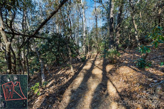 9999 North Fork Road 5 & 6, Black Mountain, NC 28711