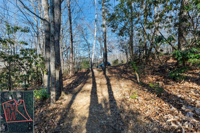 9999 North Fork Road 5 & 6, Black Mountain, NC 28711