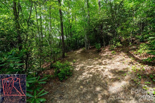 9999 North Fork Road 5 & 6, Black Mountain, NC 28711