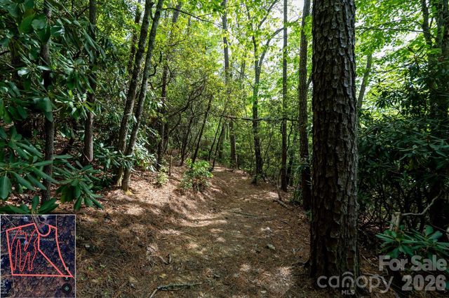 9999 North Fork Road 5 & 6, Black Mountain, NC 28711