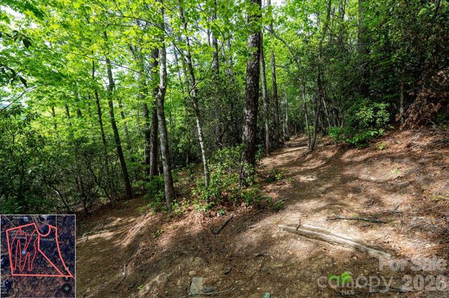 9999 North Fork Road 5 & 6, Black Mountain, NC 28711