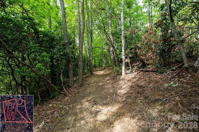 9999 North Fork Road 5 & 6, Black Mountain, NC 28711