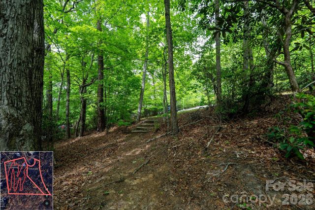 9999 North Fork Road 5 & 6, Black Mountain, NC 28711