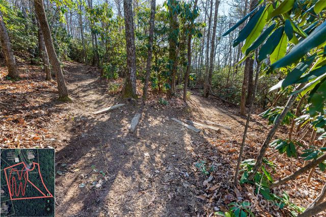 9999 North Fork Road 5 & 6, Black Mountain, NC 28711