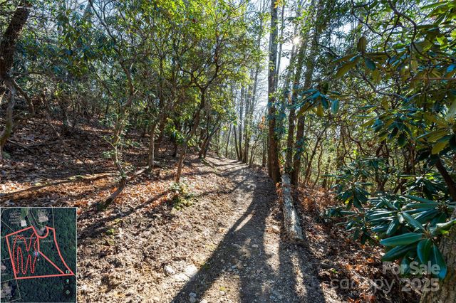 9999 North Fork Road 5 & 6, Black Mountain, NC 28711