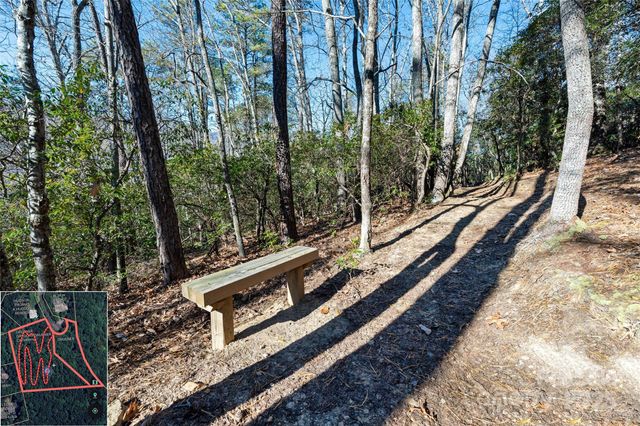 9999 North Fork Road 5 & 6, Black Mountain, NC 28711