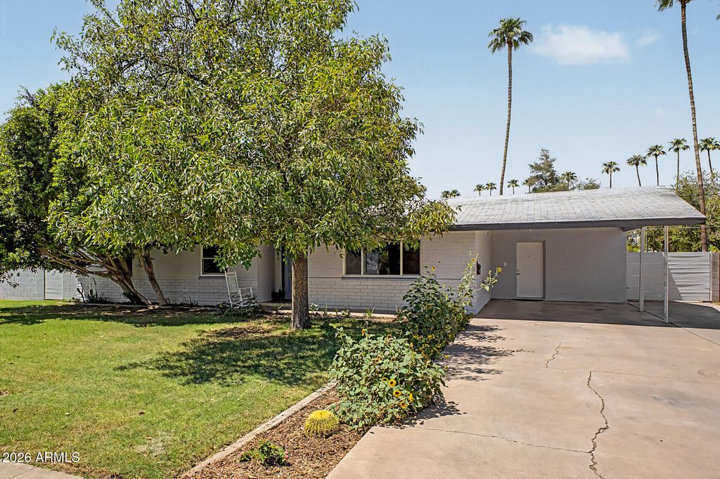 820 N LESUEUR --, Mesa, AZ 85203 — photo 5