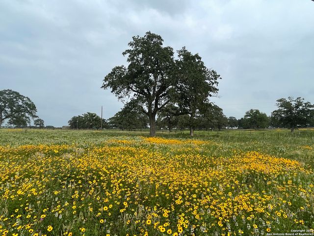 TBD Hwy 123, Stockdale, TX 78160