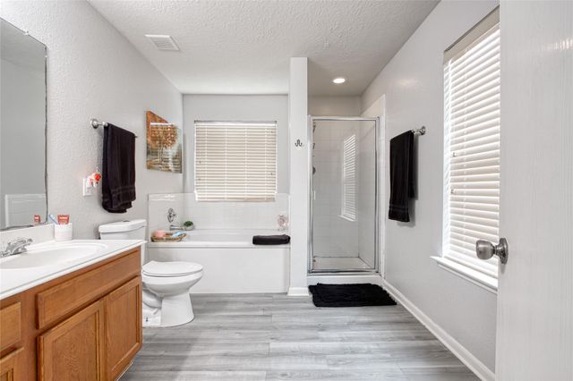 2666 Skyview Downs Drive, Houston, TX 77047