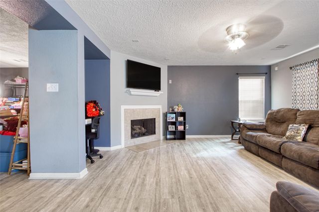 2666 Skyview Downs Drive, Houston, TX 77047