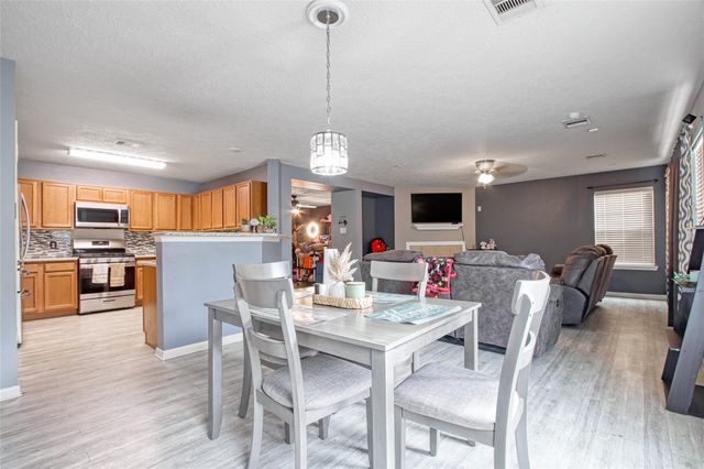 2666 Skyview Downs Drive, Houston, TX 77047