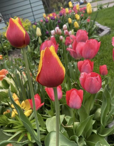 602 4th Street S, Moorhead, MN 56560