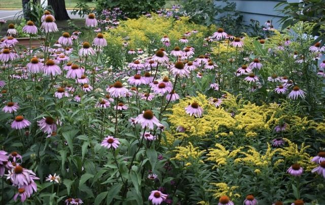 602 4th Street S, Moorhead, MN 56560