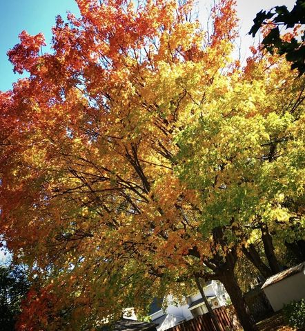 602 4th Street S, Moorhead, MN 56560