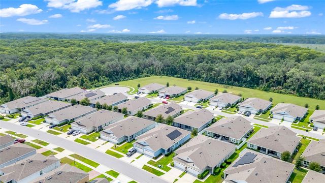 20010 ROYAL TERN COURT, Leesburg, FL 34748