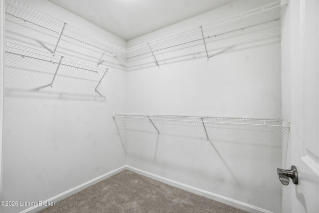 7808 Annalisa Dr, Louisville, KY 40291