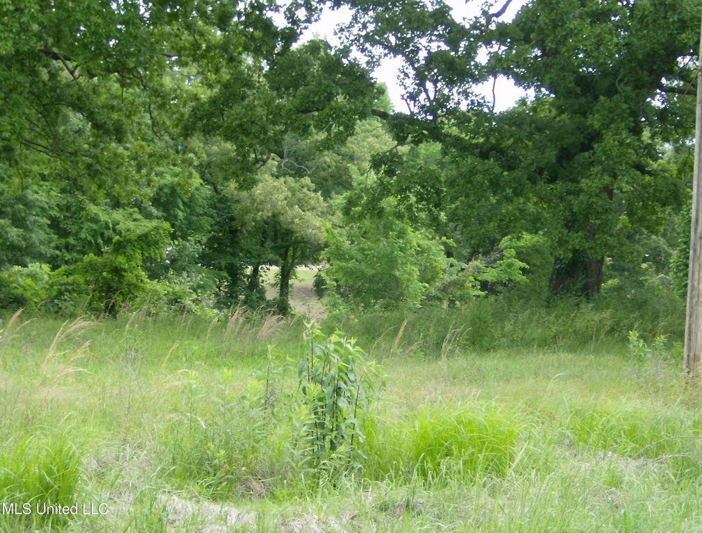 13705 Byhalia Road, Byhalia, MS 38611 — photo 2