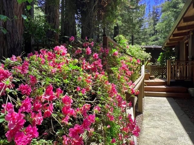 544 Cascade Dr, Mill Valley, CA 94941