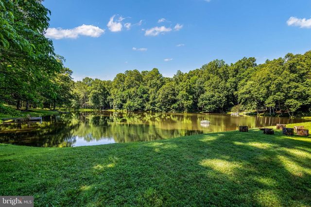 10120 WALKER LAKE DR, Great Falls, VA 22066