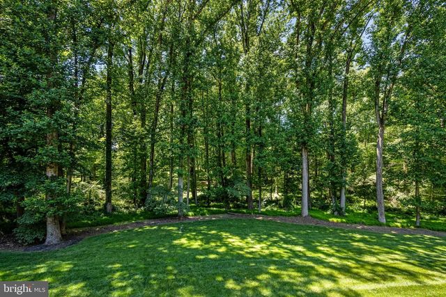 10120 WALKER LAKE DR, Great Falls, VA 22066