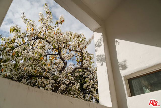 2002 Tuna Canyon Road, Topanga (los Angeles), CA 90290