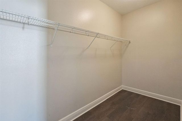 6146 GOLDEN DEWDROP TRAIL, Windermere, FL 34786