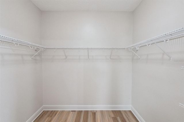 6146 GOLDEN DEWDROP TRAIL, Windermere, FL 34786