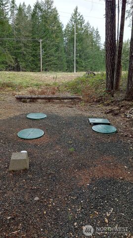 80 N Kings Way, Hoodsport, WA 98548
