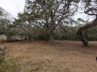 17131 SE 280TH TERRACE, Umatilla, FL 32784