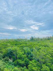 14951 Royal Oaks Ln 604, North Miami, FL 33181