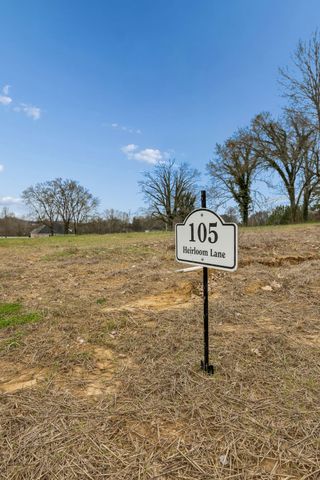 105 Heirloom Ln, Columbia, TN 38401