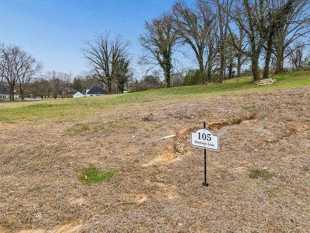 105 Heirloom Ln, Columbia, TN 38401