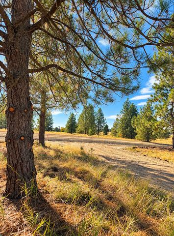 00 N Dover Rd, Medical Lake, WA 99022