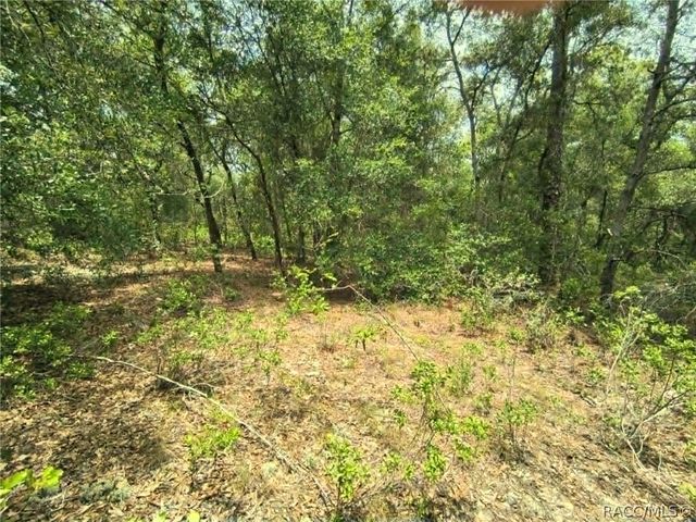 4855 N Highland Park Drive, Hernando, FL 34442