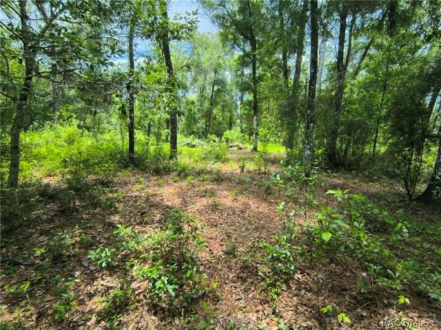 4855 N Highland Park Drive, Hernando, FL 34442