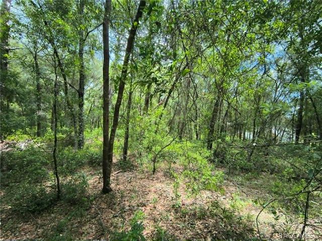 4855 N Highland Park Drive, Hernando, FL 34442
