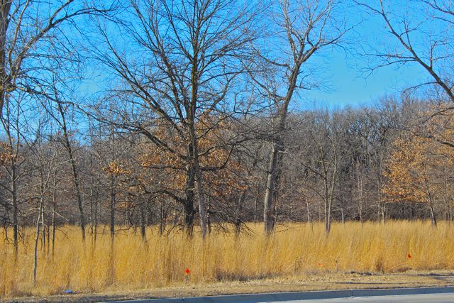 5029 N East River Road 2A, Norridge, IL 60706