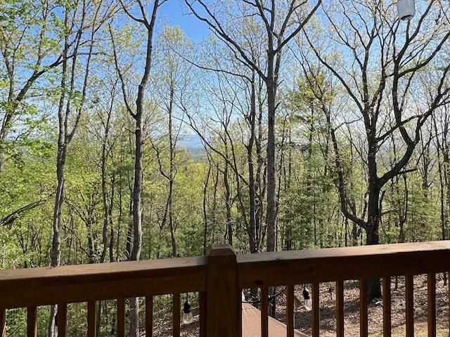 892 Morton Drive, Ellijay, GA 30540