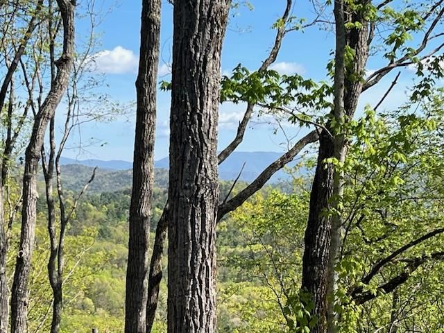 892 Morton Drive, Ellijay, GA 30540
