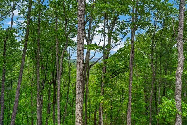 892 Morton Drive, Ellijay, GA 30540