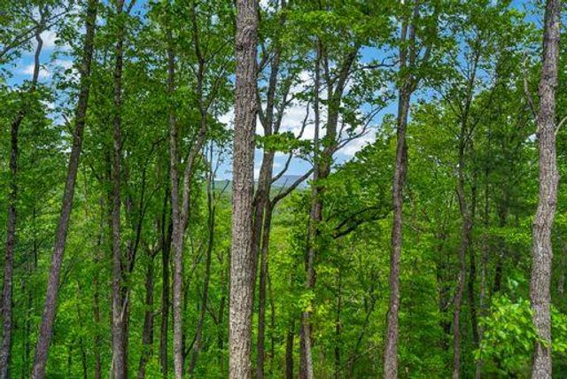 892 Morton Drive, Ellijay, GA 30540