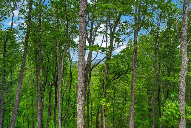 892 Morton Drive, Ellijay, GA 30540