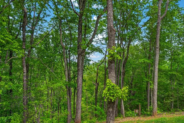 892 Morton Drive, Ellijay, GA 30540