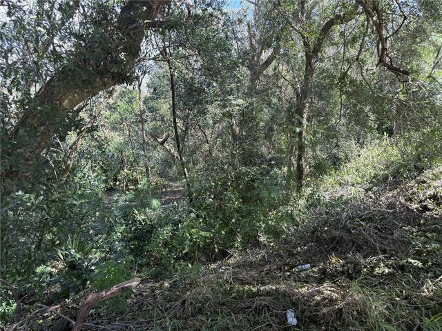 E MINNEOLA AVENUE, Clermont, FL 34711