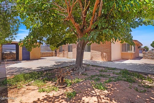 6244 IBEX Avenue, El Paso, TX 79924