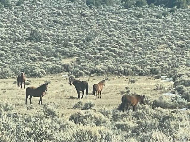 2032 White Tail Road, San Luis, CO 81152