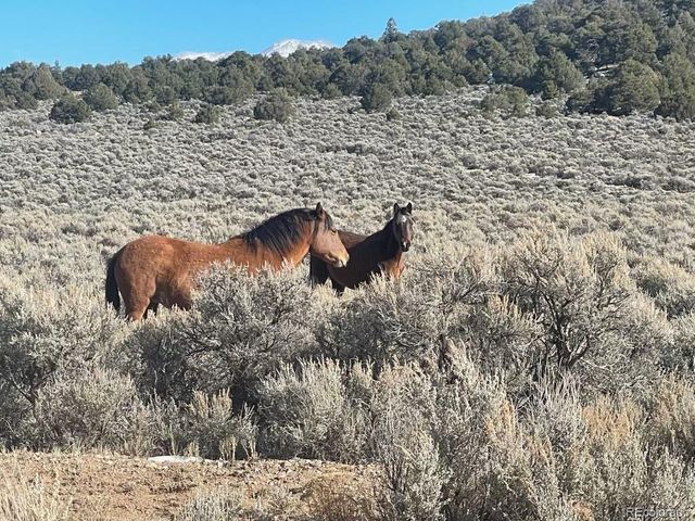 2032 White Tail Road, San Luis, CO 81152