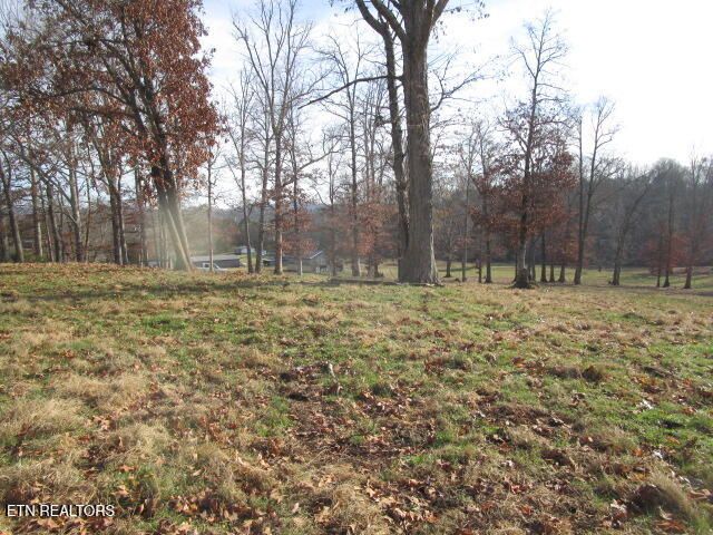 503 Emory Rd, Blaine, TN 37709