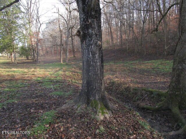 503 Emory Rd, Blaine, TN 37709