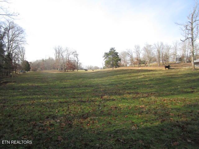 503 Emory Rd, Blaine, TN 37709